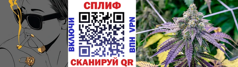 Конопля MAZAR  как найти закладки  Ижевск 